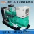 Import 15 kw generator for Natural gasBiogasBiomass gascoal gas and so on from China