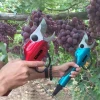 18V cordless electric pruning shear for garden pruner