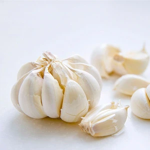 2018 chinese fresh garlic price