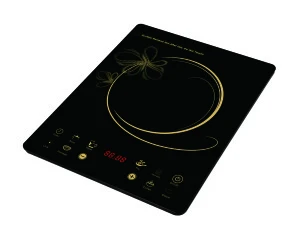 2018 Home Appliance best quality electric induction cooker with spare parts