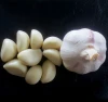 2018Chinese fresh peeled garlic
