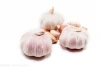 2020 China best wholesale fresh garlic price new crop for export