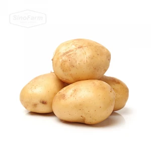 2020 crop Fresh high quality new harvest sweet potatoes