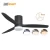 Import 2022 lifestyle 52 Inch LED light black ceiling fan with light Fan for your prosperous life from China