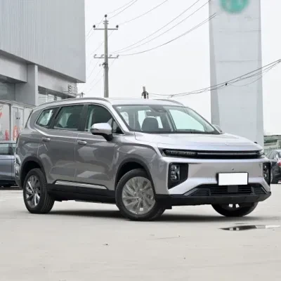 2024 New Geely Livan 9 Electric SUV Founding Version Whith 6 Seats