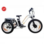 3 wheel fat tire electric bicycle three wheels 48v 1000w adult cargo electric bike with basket