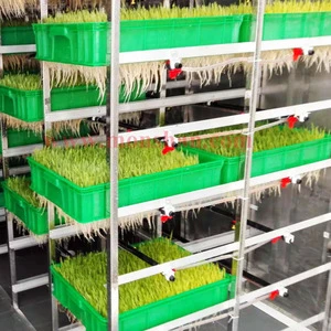 5000kg Automatic Hydroponic Barley Sprouting Container | Grain Fodder Solutions System Price