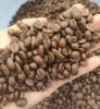 500g Grade A Organic Cultivation Arabica Roasted Coffee Beans in Zipper Bag Packaging
