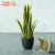 Import 63Cm 90Cm Fake Outdoor Tree Plastic Leaf Realistic Artifical Snake Plant With Pot from China