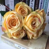 7 Heads Cheap Artificial Rose Flower