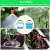 Import 70% Water Saving Automatic Garden Home Sprinkler Dripping Irrigation System Watering Kits Garden Farm Irrigation Lawn Adjustable from China