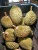 Import A4 FRUIT - Fresh Durian (Musang King) from Malaysia from Thailand