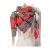 AAA502 Pashmina Colorful Thick Warm Scarf Cape Tartan Women Winter Oversize Tassel Wraps Shawl Square Plaid Check Blanket Scarf