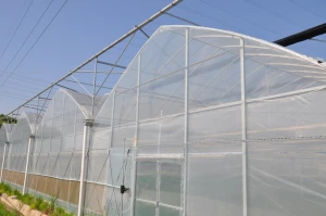 agricultural multispan plastic shed green house tunnel film greenhouse
