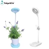 Amazon 2021 hot sale led desk lamps reading touch lamp led table light Plant Desk lamp with mini fan & flower pot