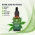 Import Amazon hot sell 5000mg organic pure hemp extract seed cbd oil from China