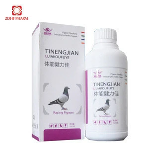 Antibiotic drugs Florfenicol liquid solution for racing Pigeon medicine