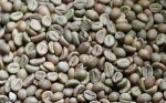 ARABICA COFFEE BEAN