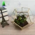 Import Artdragon wholesale home decor types black rose gold glass geometric hanging terrarium for kids from China