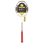 Badminton racket high quality  professional 100% carbon 30LBS tension shuttlecock racket