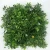 Import Beautiful Plastic Artificial Plants Outdoor Green Wall MZ190003A from China