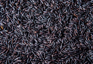 Best grade premium black rice long grain wholesale, 5% broken, good price, antioxidants
