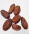 Import Best Grade Sun Dried Cocoa Beans from USA