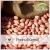 Best price of new crop peanut seed