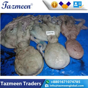 Best Quality Big RAW Seafood Frozen Octopus