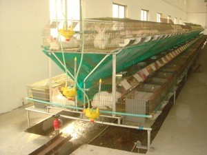 Best quality cheap used rabbit cages with high quality farming commercial rabbit