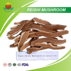 Best Seller Reishi Mushroom