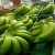 Import Best Selling Fresh Cavendish Banana ,High Quality from South Africa