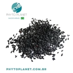 BLACK RICE