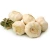 Import Brazil  fresh pure white garlic from Brazil