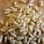 Import Brazil pine seeds, pine nuts, pine nuts kernels cheap bulk pine nuts from Brazil
