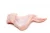Import BRAZILIAN QUALITY HALAL FROZEN WHOLE CHICKEN AND PARTS / GIZZARDS / THIGHS / FEET / PAWS / DRUMSTICKS from Brazil