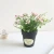Import Bubble Small Wild Fruit Small Bonsai Set Decoration Black Plastic Pot Flower Decoration Crafts from China