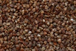 buckwheat,winter rye/wheat,Organic fertilizer,seed oat,split peas yellow