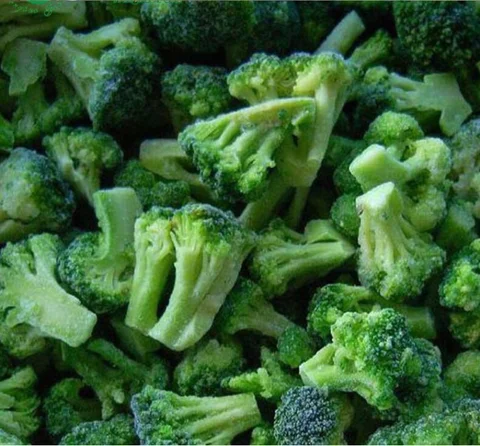 Bulk IQF Frozen Broccoil Freezing Chopped Florets Vegetables OEM Kosher Halal Wholesale Price Fresh New Crop Frozen Broccoli