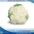 Import bulk pack India high quality new crop fresh cauliflower from India