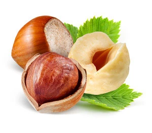 Buy Quality DRIED Natural Hazel Nuts from Us