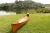 Import Canoe With Ribs 18&#x27; - Vietnam High Quality Wooden Real Canoe/ Kayak/ Nautical/ Handicraft Home Decor/ Cedar Wood from Vietnam