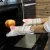 Import Cat Claw Creative Kitchen Insulation Baking mitts Anti-scalding Thickening Oven High Temperature Microwave Oven from China