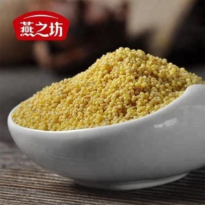 Cheap Price Millet Yellow Millet For Bird Seed