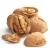 Import China Xinjiang raw thin skinned nuts price walnut can do jujube walnut from China