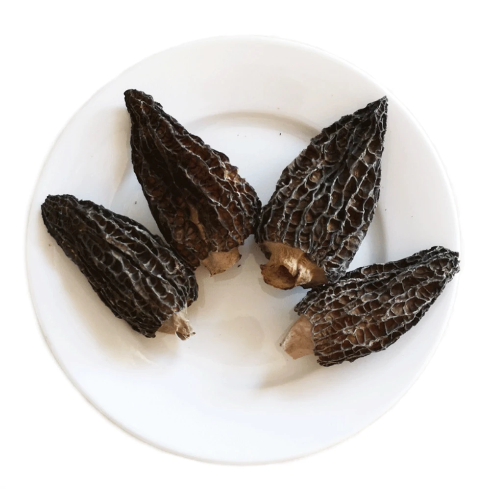 Chinese dried morel mushrooms for sale