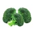 Import chinese Frozen fresh broccoli from new season supplying all the year round from China