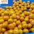 Import Citrus Fruit Product Type Mandarin / Orange, Tangerine, Lemons, Clementine, citrus fruits, limes, quince from Pakistan