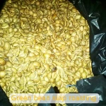 Civet Coffee Liberica Jambi (Kopi Luwak Liar Jambi)