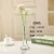 Import Clear Glass Cylinder Vase Antique Glassware Home Decoration from China